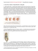 Giải bài 1,2,3 trang 22 SGK Sinh 7: Trùng biến hình và trùng giày