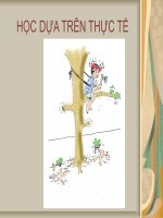 kiểm tra lốc rau bằng tay