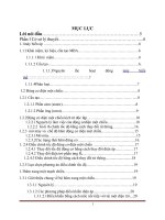 Thiết Kế Chế Tạo Mạch Điều Khiển Tốc Độ Động Cơ Một Chiều Có P=270w ,U=220v