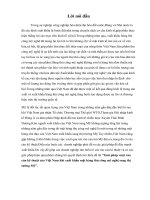 Gỉai pháp vượt rào  cản kỹ thuật của Việt Nam khi xuất khẩu mặt hàng thủ công mỹ nghệ sang thị  tường Mỹ