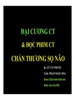 Bài giảng đại cương CT và đọc phim CT chấn thương sọ não   BS  lê văn phước, TS BS  phạm ngọc hoa