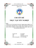 PHÁP LUẬT về GIẢI QUYẾT nợ xấu TRONG HOẠT ĐỘNG của NGÂN HÀNG THƯƠNG mại và THỰC TIỄN áp DỤNG tại AGRIBANK 