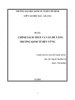 Tiểu luận môn phân tích chính sách thuế chính sách thuế và vấn đề tăng trưởng kinh tế bền vững 