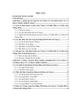 Đẩy mạnh hoạt động marketing trong hoạt động kinh doanh thương mại ở công ty cổ phần đầu tư và phát triển thống nhất