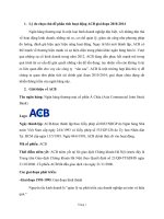 Tiểu luận phân tích hoạt động của ngân hàng ACB giai đoạn 2010   2014 