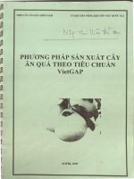 Phương pháp sản xuất cây ăn quả theo tiêu chuẩn VietGAP 