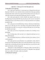 Tiểu luận môn quản trị rủi ro phân tích rủi ro quốc gia liên bang nga 