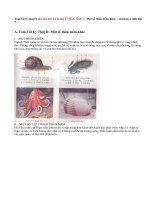 Giải bài 1,2 trang 67 Sinh 7: Một số thân mềm khác