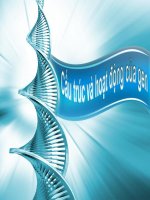 Cấu Trúc Và Hoạt Động Của Gen