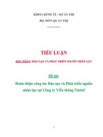 Hoàn thiện công tác Đào tạo và Phát triển nguồn nhân lực tại Công ty Viễn thông Viettel