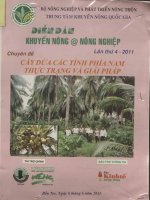chuyên đề cây dừa các tỉnh phía nam thực trạng và giải pháp 