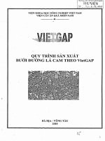 VIETGAP qui trình sản xuất bưởi đường lá cam theo VietGAP 