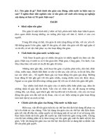 Tôn giáo là gì tình hình tôn giáo của đảng, nhà nước ta hiện nay ra sao 