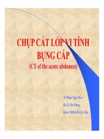 Bài giảng chụp cắt lớp vi tính bụng cấp   TS  phạm ngọc hoa, BS  lê văn dũng