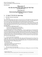 Tiểu luận tổng quan về tái cấu trúc hệ thống ngân hàng tại việt nam 