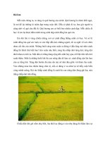 bài văn tả cánh đồng lúa