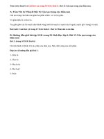 Giải bài 1,2 trang 50 SGK Sinh 6 : Bài 15 Cấu tạo trong của thân non