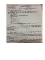 DE THI VAO 10 môn ngữ văn