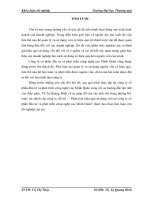 Phân tích hiệu quả sử dung vốn tại công ty cổ phần đầu tư và phát triển công nghệ cao Minh Quân