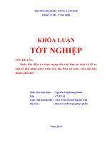 Bước đầu điều tra thực trạng tiêu thụ Rau an toàn và đề ra một số giải pháp phát triển tiêu thụ Rau an toàn  trên địa bàn thành phố Huế