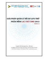 GIẢI PHÁP QUẢN LÝ HỒ SƠ LƯU TRỮ PHẦN MỀM LAC VIET DMS 2013
