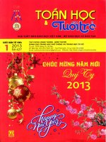 TOÁN HỌC TUỔI TRẺ SỐ 427 THÁNG 1 NĂM 2013