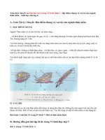 Giải bài 1,2,3 trang 73 Sinh 7: Đặc điểm chung và vai trò của ngành thân mềm