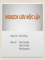 Nghịch lưu độc lập Nghịch lưu độc lập
