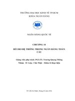 Tiểu luận môn ngân hàng quốc tế rủi ro hệ thống trong ngân hàng toàn cầu 