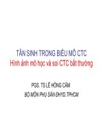 Bài giảng tân sinh trong biểu mô CTC  hình ảnh mô học và soi CTC bất thường   PGS TS  lê hồng cẩm