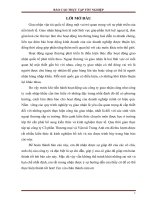 Báo cáo thực tập tốt nghiệp tại công ty CP thương mại và vận tải  trang anh