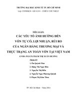 Tiểu luận các yếu tố ảnh hưởng đến vốn tự có lợi nhuận rủi ro của ngân hàng thương mại và thực trạng an toàn vốn tại việt nam 