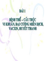 BÀI 1  hình thể, cấu trúc vi khuẩn   đại cương miễn dịch, vaccin, huyết thanh