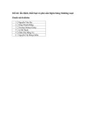 Tiểu luận ổn định thất bại và phá sản ngân hàng thương mại 