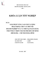 Giải pháp nâng cao chất lượng hoạt động cho vay đối với doanh nghiệp vừa và nhỏ tại ngân hàng thương mại cổ phần phát triển thành phố hồ chí minh (HD bank) 