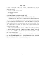 Hoàn thiện cơ cấu tổ chức của Công ty Cổ phần đầu tư xây dựng và thương mại Tam Sơn.