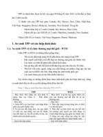 Tiểu luận tìm hiểu về hiệp định TPP tác động đến nền kinh tế việt nam