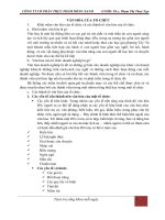 VĂN HÓA CỦA TỔ CHỨC