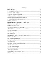 HÔN NHÂN CỦA NGƯỜI HMÔNG HOA Ở XÃ PÚNG LUÔNG, HUYỆN MÙ CANG CHẢI, TỈNH YÊN BÁI      LUẬN VĂN THẠC SĨ DÂN TỘC HỌC