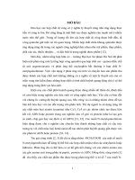 NGHIÊN CỨU PHẢN ỨNG GẮN KẾT HỢP PHẦN  NMETYLQUINOLINIUM VỚI AMIN, AMINO AXIT  VÀ TÍNH CHẤT HUỲNH QUANG CỦA SẢN PHẨM      LUẬN VĂN THẠC SĨ KHOA HỌC HÓA HỌC