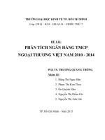 Tiểu luận phân tích ngân hàng thuwong mại cổ phần ngoại thương việt nam 2010   2014 