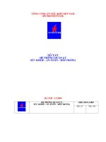 sổ tay hệ thống quản lý sức khỏe an toàn-môi trường