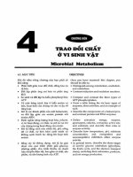 Giáo trình vi sinh vật học   lý thuyết và bài tập giải sẵn (phần 1) (song ngữ việt   anh)  phần 2