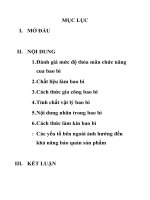 bài tiểu luận về bao bì