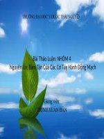 Bài Thảo Luận: NHÓM 4  Nguyên Ủy, Bám Tận Của Các Cơ Tùy Hành Động Mạch