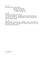 đề thi học sinh giỏi môn Ngữ Văn 8