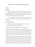 Tiểu luận thực trạng thị trường cổ phiệu hiện nay 