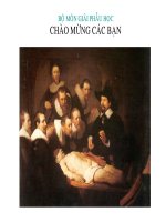 BỘ MÔN GIẢI PHẪU HỌC - KHOEO