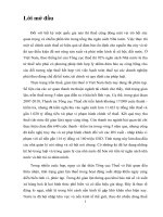 Hải quan với công tác chống gian lận thuế trong điều kiện việt nam hiện nay 