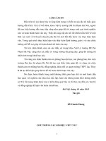 NGHIÊN CỨU VAI TRÒ CỦA ISOSPIN  TRONG CHẤT HẠT NHÂN BẤT ĐÔI XỨNG     LUẬN VĂN THẠC SĨ KHOA HỌC VẬT LÍ